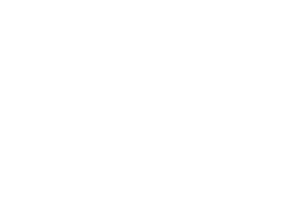 arti Since 2007